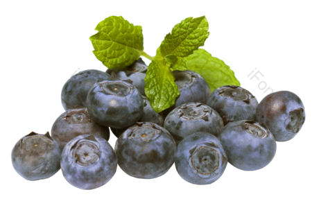 热带 水果 蓝莓 果肉 植物 价格 健康