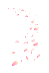 小清新 粉色 桃花 花瓣 樱花 花瓣雨 春季 立春