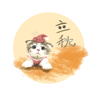立秋 丰收 麦穗 小猫 橙色 帽子