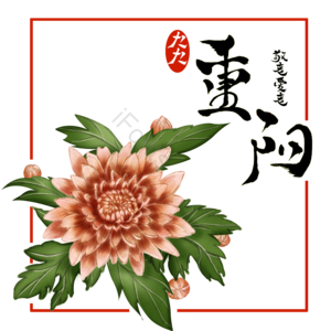 中国风 重阳节 节日 字体 菊花 花卉 装饰 古风