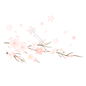 樱花 小清新 日式 樱花花瓣 飘零 免抠素材 春季 春分