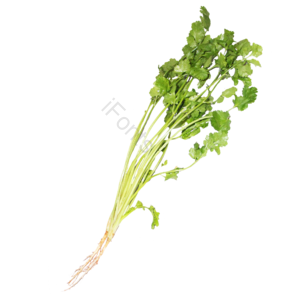 蔬菜 免抠 实物 png 素材 摄影 照片 实物