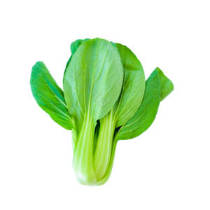 蔬菜 时蔬 健康 有机 食物 小油菜 健康