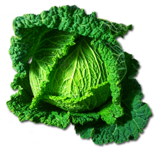 蔬菜 菜品 材料