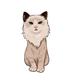 卡通 手绘风 可爱 猫咪 坐姿