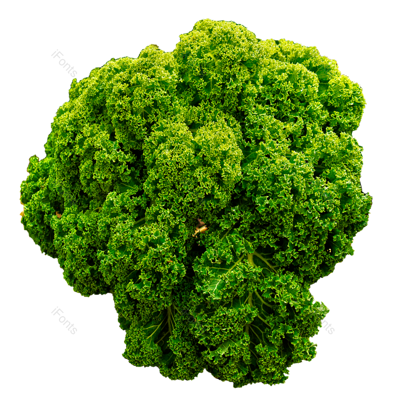 蔬菜图片,植物元素,健康PNG,免抠素材