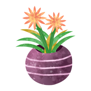 原创 初夏 小清新 植物元素设计 花朵 植物装饰