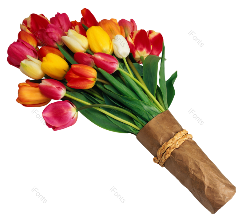 鲜花图片,彩色元素,花束PNG,植物免抠素材