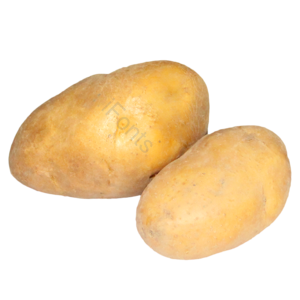 蔬菜 免抠 png 摄影 实物 实拍 摄影 照片