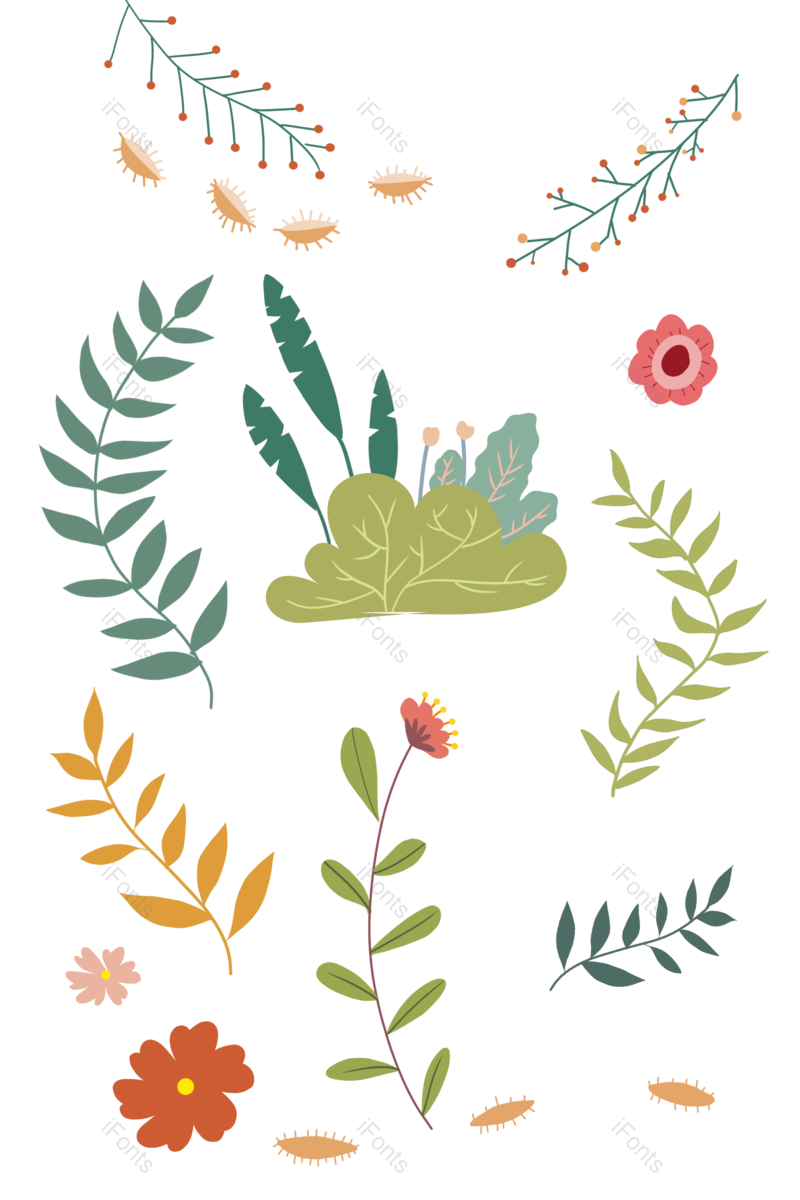 叶子图片,装饰元素,插画PNG,花草免抠素材