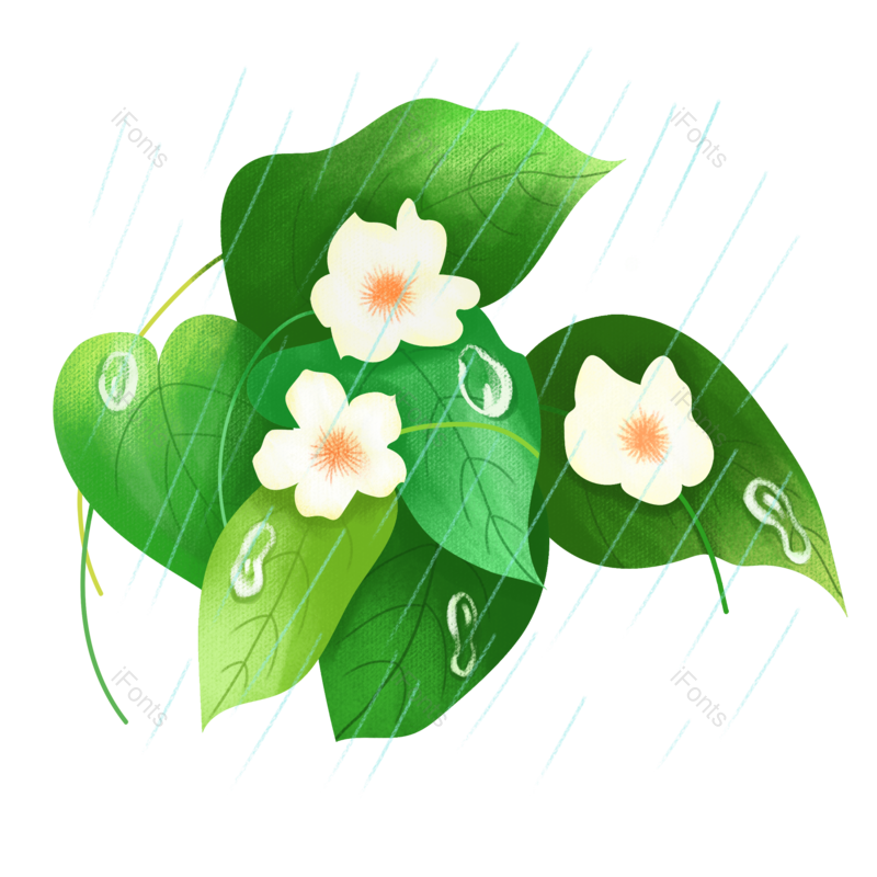 叶子图片,插画元素,雨水PNG,雨滴免抠素材