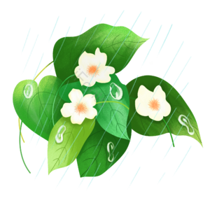 谷雨 绿色 叶子 小花 雨滴 雨水 手绘 插画