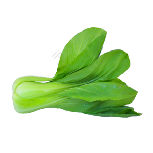 油菜 蔬菜 菜 有机蔬菜 健康蔬菜 绿菜  健康