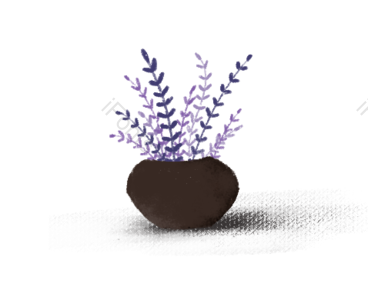 盆栽 植物 花盆 小草 手绘 PNG免抠素材