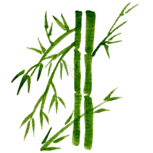 手绘 水彩效果 竹子 竹叶 绿色 植物 水墨 水墨树