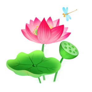 小满 夏至 夏至 夏季 荷花 蜻蜓 红色 