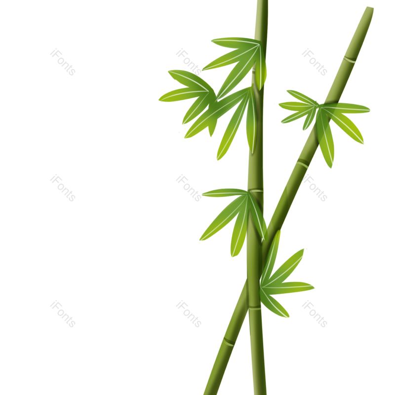 清新图片,竹叶元素,竹子PNG,竹子叶子免抠素材