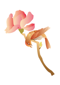 手绘 中国风 国潮来袭 喜鹊 花朵 树枝 红色花朵 