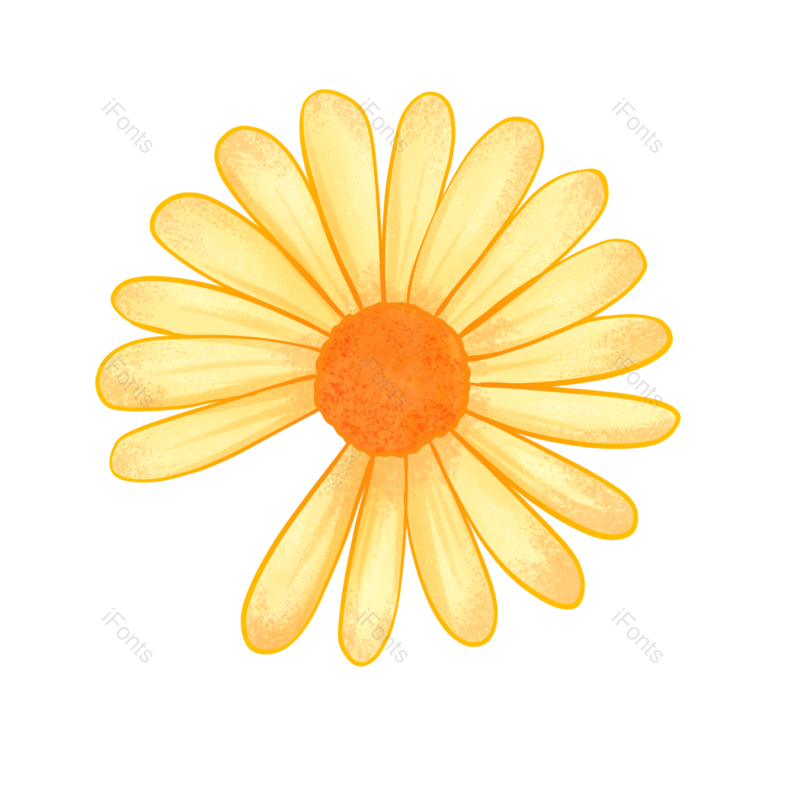 装饰图片,夏至元素,夏天PNG,小雏菊免抠素材