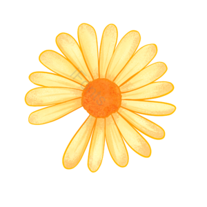 夏至 手绘 夏天 黄色 小雏菊 花朵 花瓣 装饰