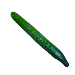 黄瓜 夏季 素材 果蔬 有机 绿色 