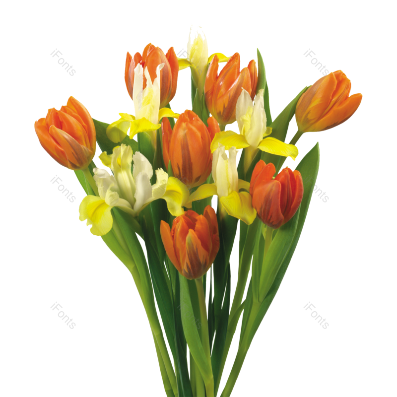 鲜花图片,彩色元素,花束PNG,植物免抠素材