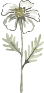 春季 手绘 插画风格 绿色 植物 免扣 小花