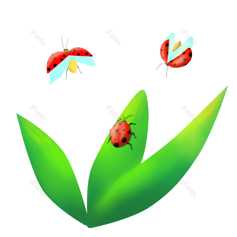 叶子图片,节日元素元素,手绘PNG,免抠素材