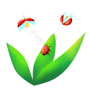 立夏 叶子 瓢虫 手绘 节日元素 生机勃勃
