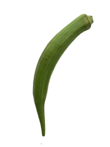 秋葵 蔬菜 新鲜 绿色 美味的 整根 健康
