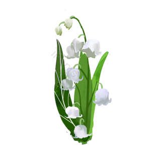 花束 清新 水彩 铃铛花 png 元素