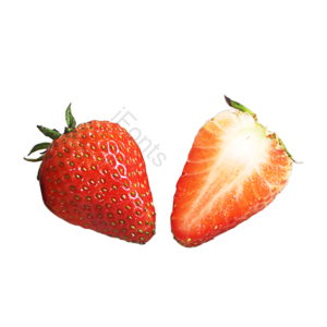 水果 实物 实拍 摄影 照片 免抠 png 素材