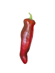 实拍 红色 大辣椒 蔬菜 食材 健康