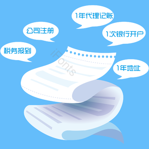 公司 财务 流水 账单  信息 纸