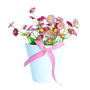 花卉 摆件 绿植 植物 装饰 花