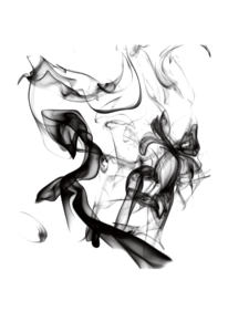 腾飞的墨水 黑白 烟雾 唯美 动感 节日 水墨