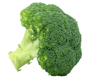 西兰花 蔬菜 植物 绿色 维生素 花