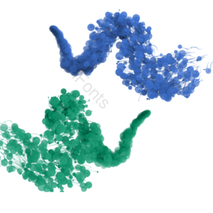 粒子炫彩 梦幻 彩色 装饰纹理 png免抠 蓝色 绿色