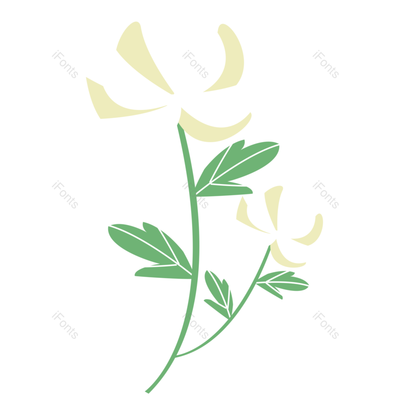 花朵图片,白色花朵元素,PNG,免抠素材
