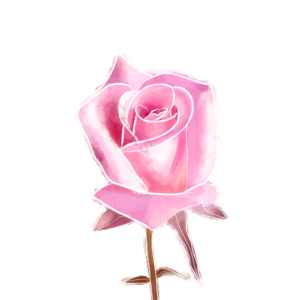 插画 鲜花 psd 紫色 节日 png