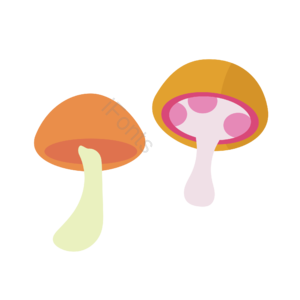 蘑菇 小蘑菇 彩色 蘑菇素材 png 手绘