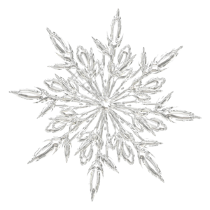 冬天 雪花 结晶 花纹 透明 规则