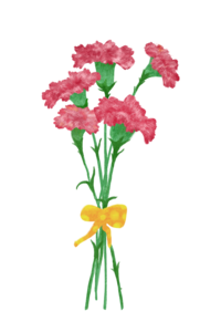 母亲节 康乃馨 花束 手绘 红色 花朵