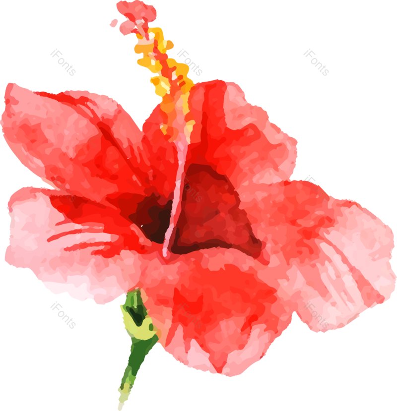 节日图片,插画元素,装饰素材PNG,春天免抠素材