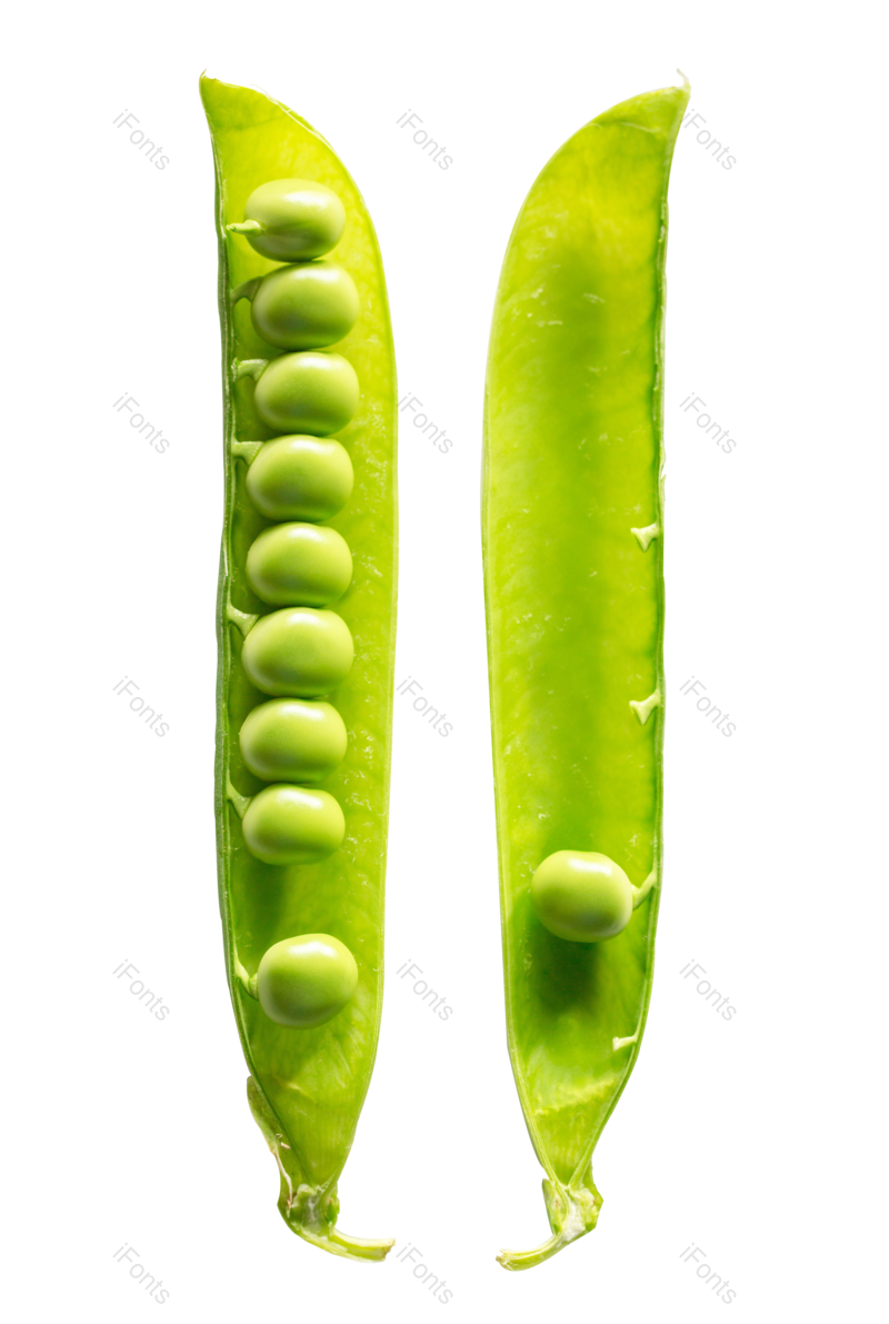 种子图片,绿色元素,植物PNG,颗粒免抠素材