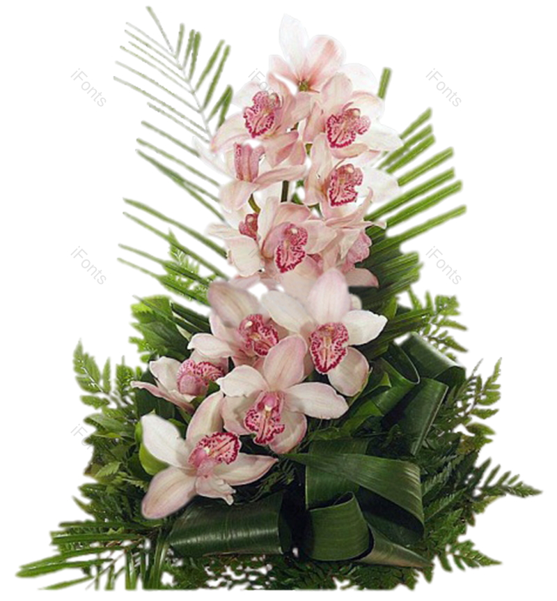 清新图片,浪漫元素,鲜花PNG,春天免抠素材