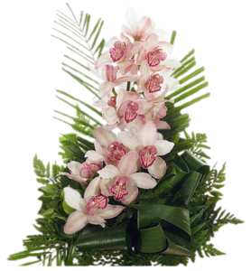 清新 浪漫 鲜花 植物 白色鲜花 花束 春天 花
