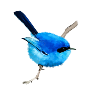 鸟儿 春天 多彩 插画 psd png 春季