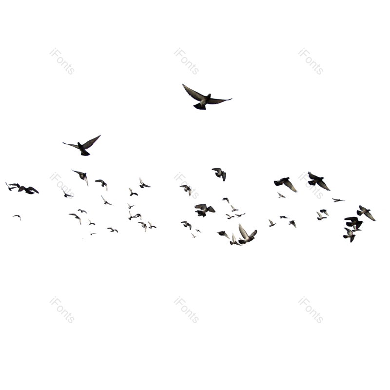 装饰图片,效果元素,中国风PNG,元素免抠素材