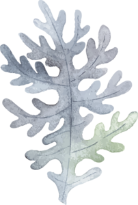 浅色系 插画风格 ins 小清新 植物 节日素材